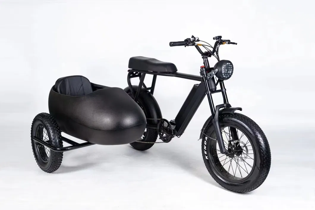 Adult Remote Electric Tricycle, Electric Bike, Lithium Battery, Custom Colors Available