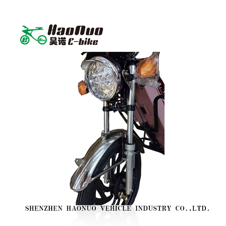 2023 Rear Shelf 17inch 60V 500watt Electric Bike with Pedal for Adult