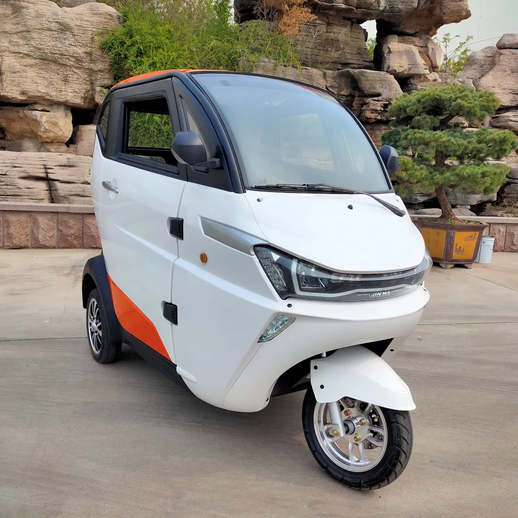 City Use 3000W Electric Scooter Trike Adult with Coc
