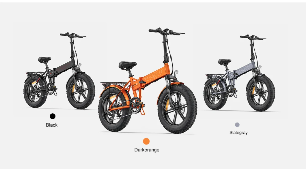 48V13A 42km/H Electric Bicycle 20inch Fat Tire 750W Mountain Electric Bike