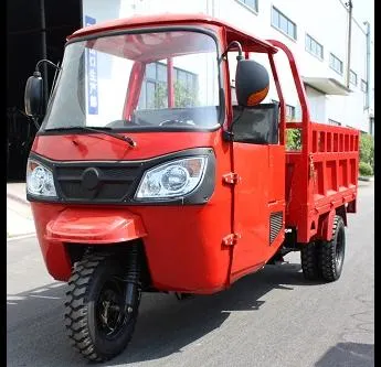 Cargo Tricycle Auto Rickshaw Tricycle Three Wheel Mot Tricycle Motor Rickshaw