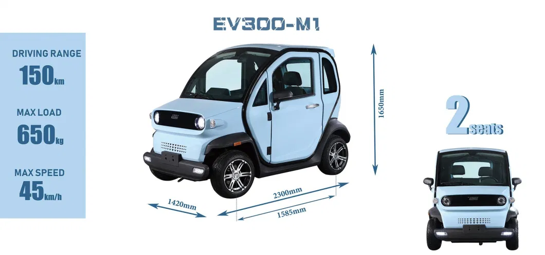 2 Person Enclosed Mobility Adults Mini Electric Scooter Car