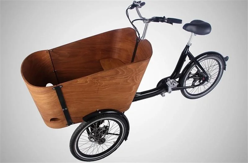 Wooden Frame Electric Adult Tricycle Trends 3 Wheels Dutch Cargo Bike Family Bicycle Kids Scooter for Sale