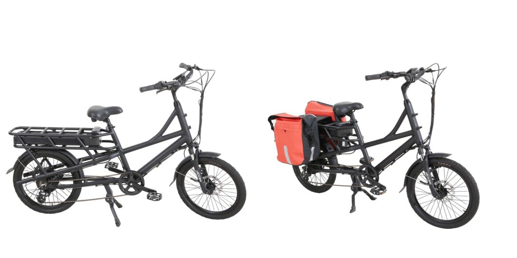 Spoke Wheel Cargo Electrical Bike 48V350W with Pedal Assist