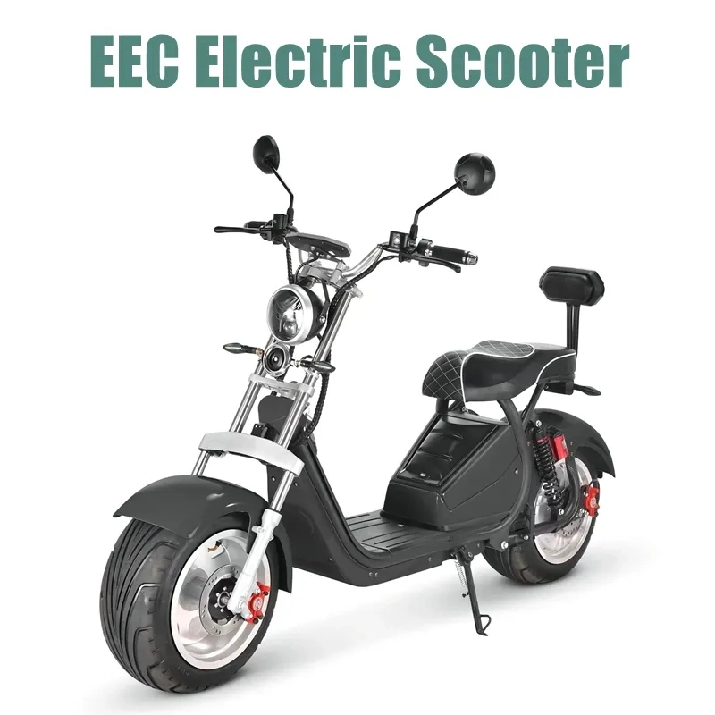 Electric Scooter with off Road Fat Tire Electric Citycoco 1500W with Removable Lithium Battery for Adults