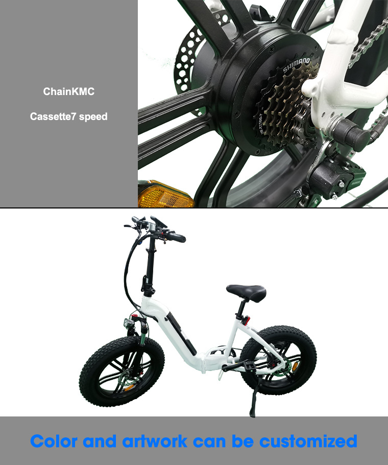 Customized 2 Wheel Electric Bicycle 7 Speed 20inch Folding Ebike