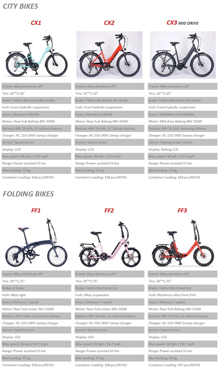2023 Aluminium Alloy 750W 48V Electric Adult Bicycle