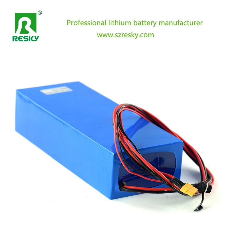 24V 10ah Polymer Lithium Battery for 250W Electric Bike Kit