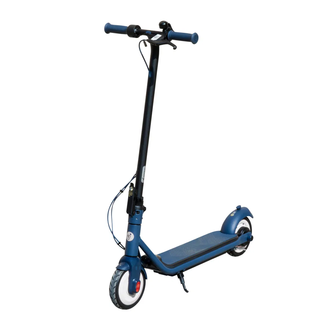 10 Inch Larger Motors Light Stand Adult E Scooter 1300W