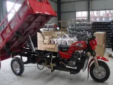 Auto Rickshaw Red Color Tricycle Cargo Tricycle Motorcycle 3 Wheel Tricycle Gasoline Tricycle Rickshaw Tuktuk