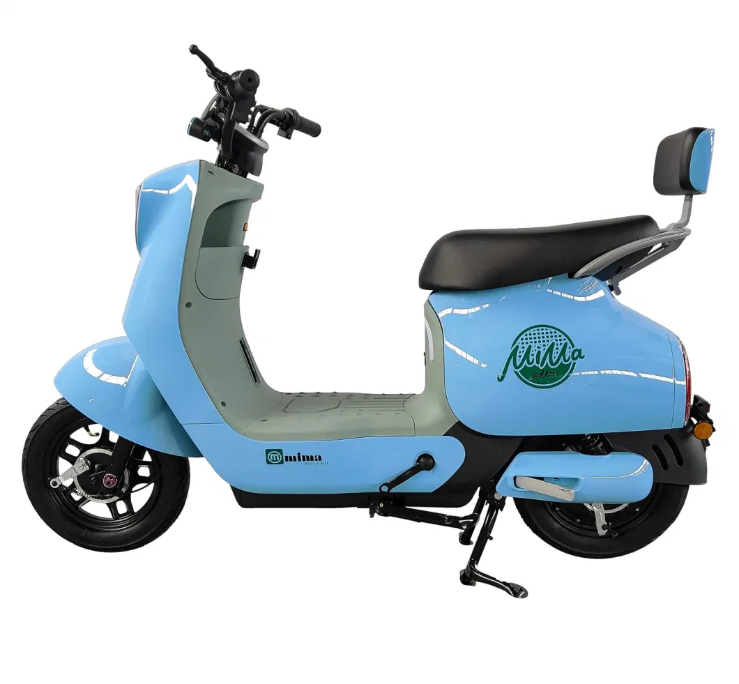 Willstar Ty608 Electric Moped / Electric Bicycle with 48V20ah