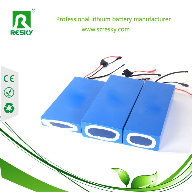 24V 10ah Polymer Lithium Battery for 250W Electric Bike Kit