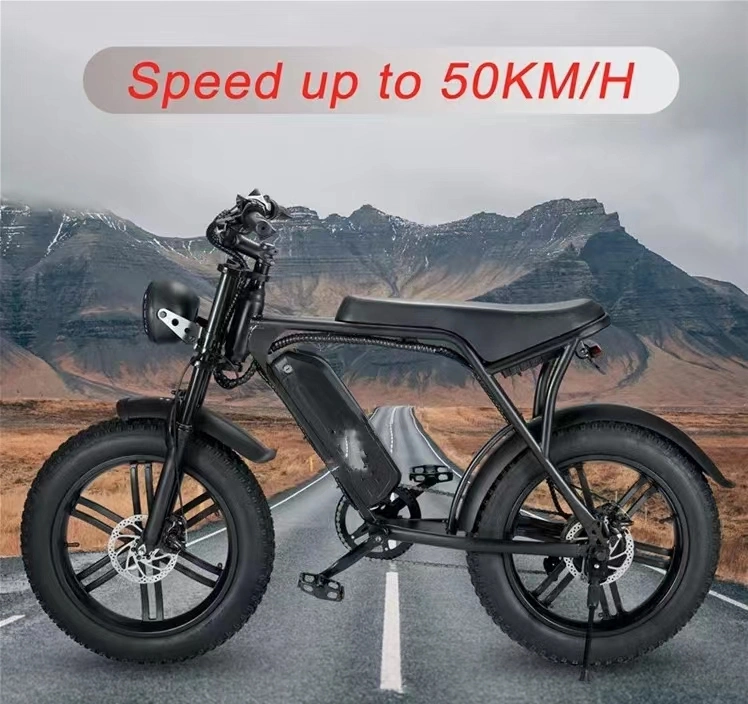 Electric Bike 1000W off-Road G510 Motor Ebike Electric Mountain Bike for Adults
