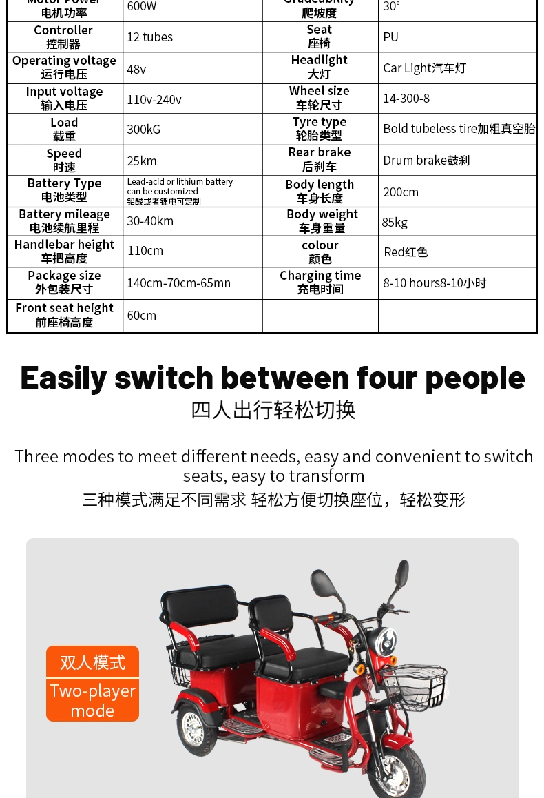 Hidden Battery Electric Bicycle for Old People Used Market