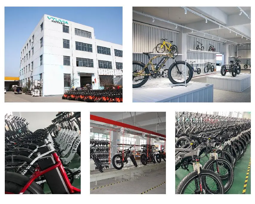 China Fat Tire Mountain Electrical Bike Factory Electric Motorbike