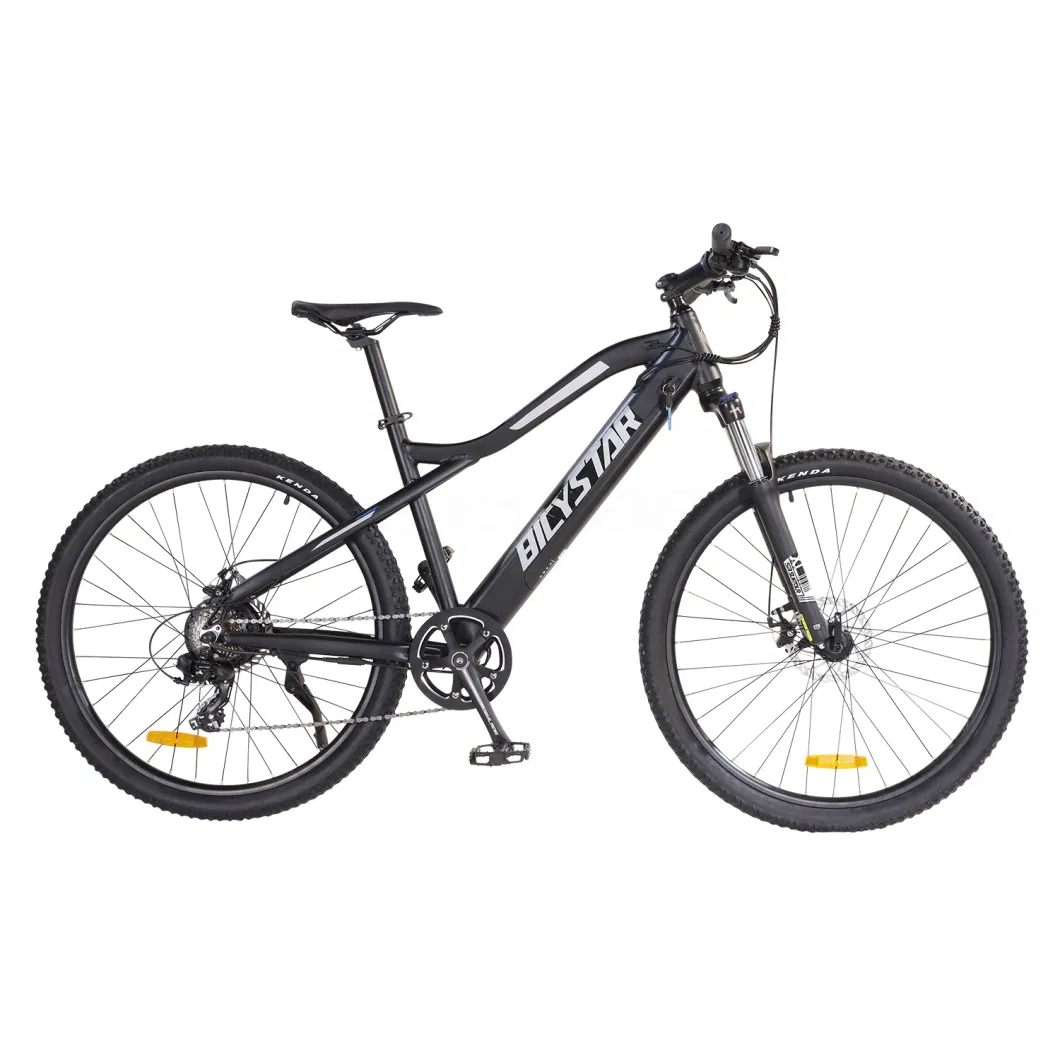 1000W Ebike with Fat Tires1000W Electric Bicycle1000W Electric Bike