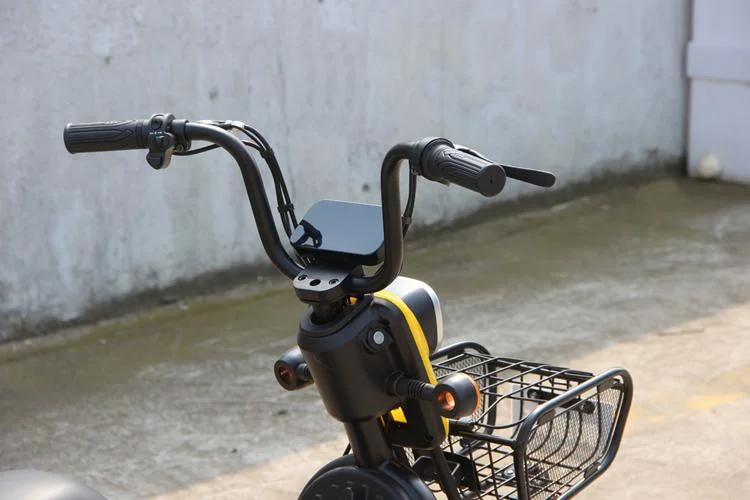 New Model 60V20ah Transfer Trolley Electric Bike, Bicycle E-Scooter