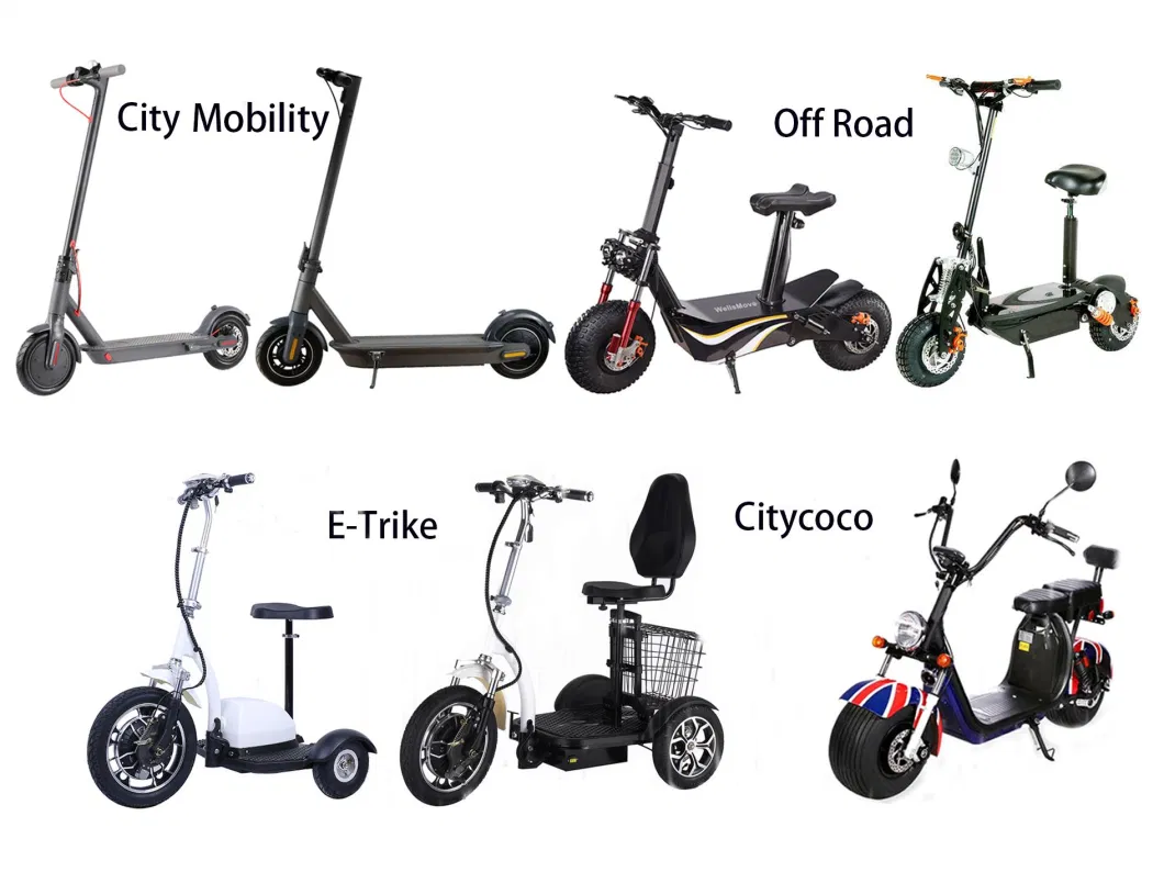 Hot Sell Elder Scooter with Front Basket 350W 500W Motor Bike Electric Scooter 3 Wheels