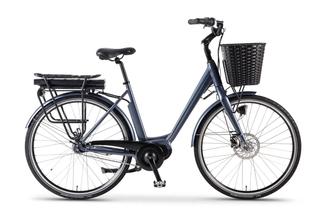 City Road Commuter Adult Electric Bicycle with Samsung Lithium Battery