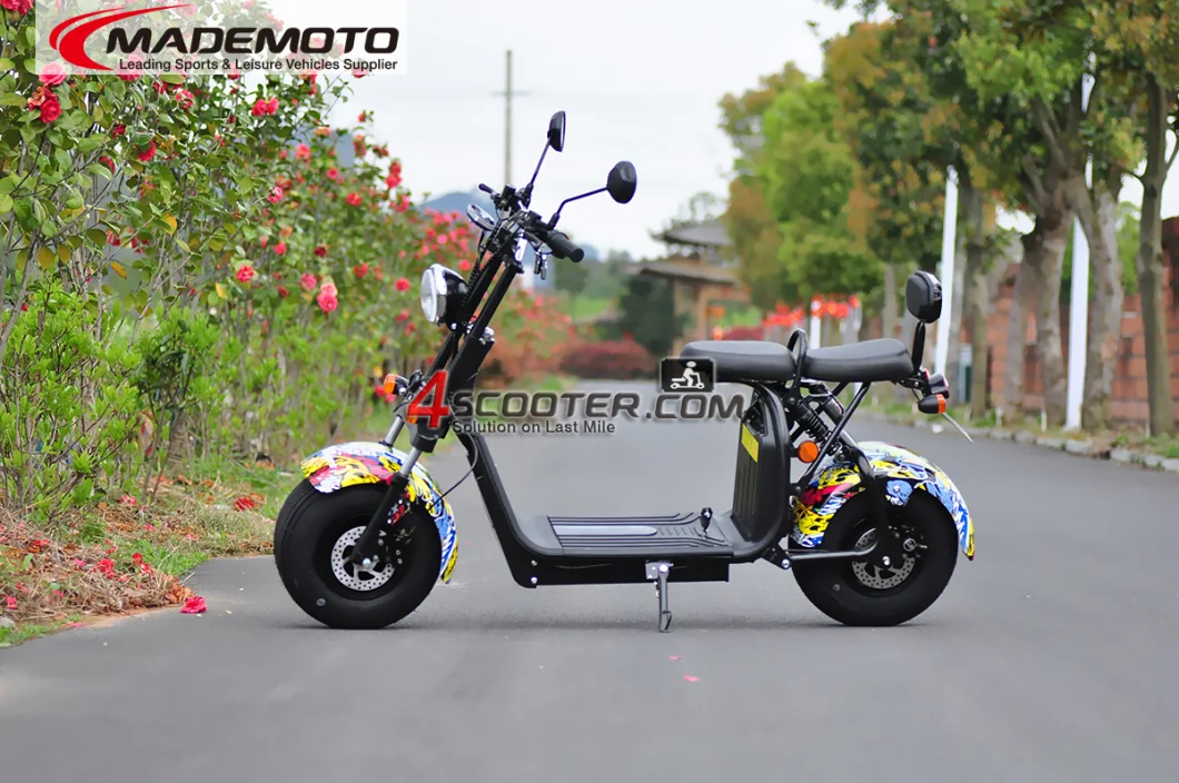 High Quality 2000W 5000W EEC Europe Road Legal Citycoco Electric Scooter Injection Molding Cycle