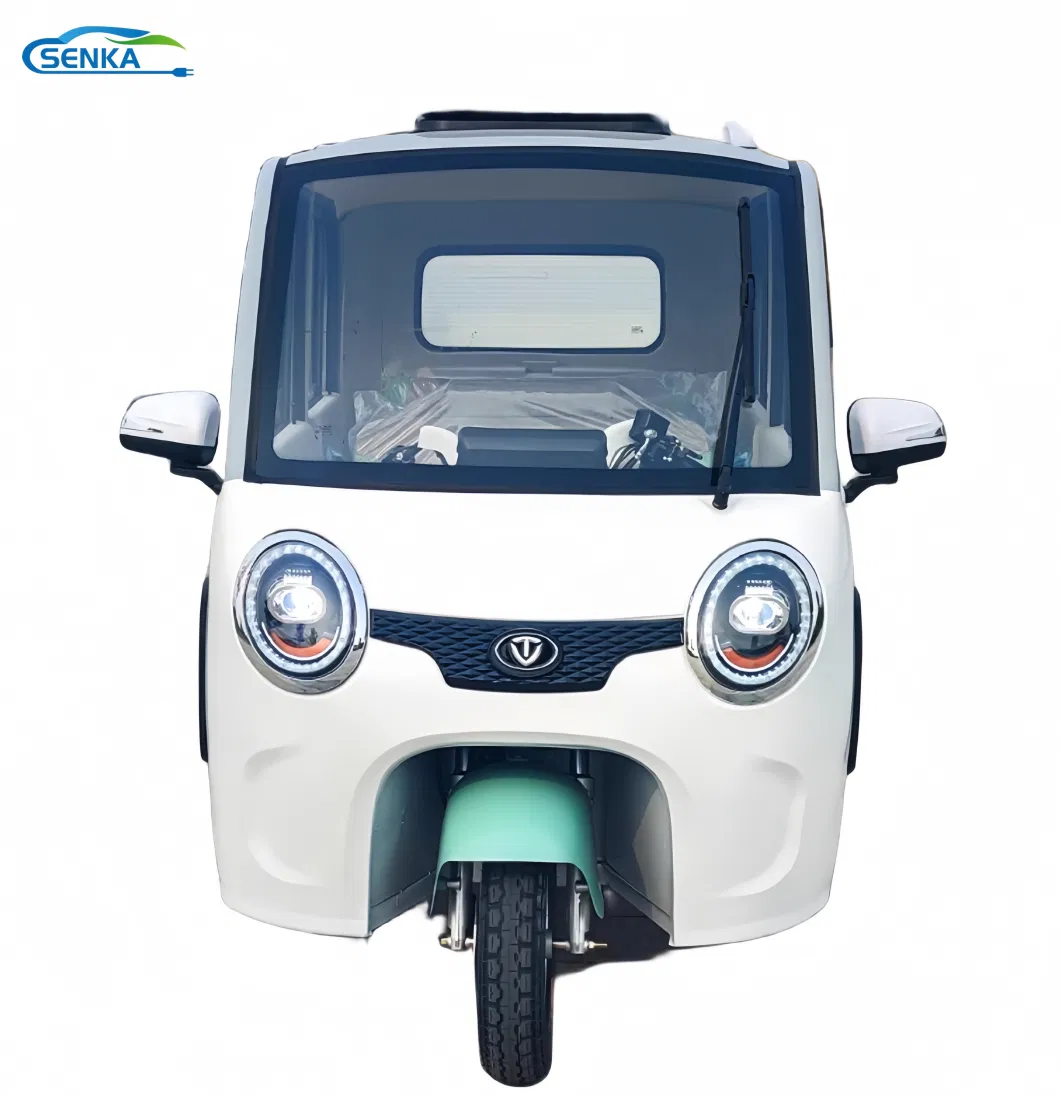 Senka 3-Wheel Closed Electric Bicycle Three Wheel Electric Scooters Bike Tricycle Passenger Family City Travelling Mini Car