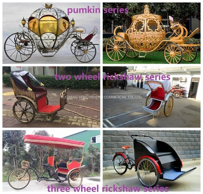 High Quality 2 Wheel Rickshaw/Auto Rickshaw for Exhibition/Ancient Jinrikisha