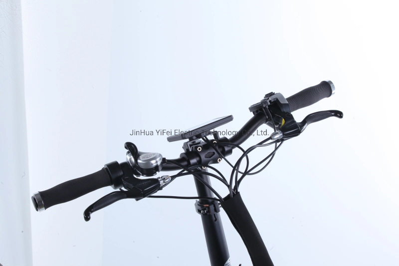 High Speed Electric Foldable Bike Bicycle En15194 (sii approved)