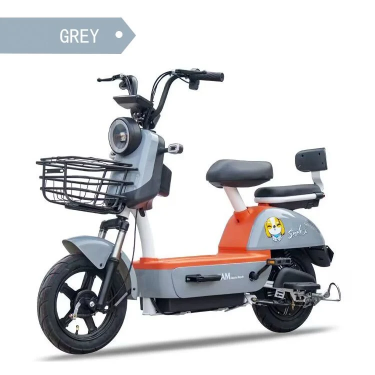 New National Standard Manatee Electric Bike Two-Wheeled Electric Bicycle Tianjin Skateboard Double Electric Battery Car Manufacturers Wholesale Adults