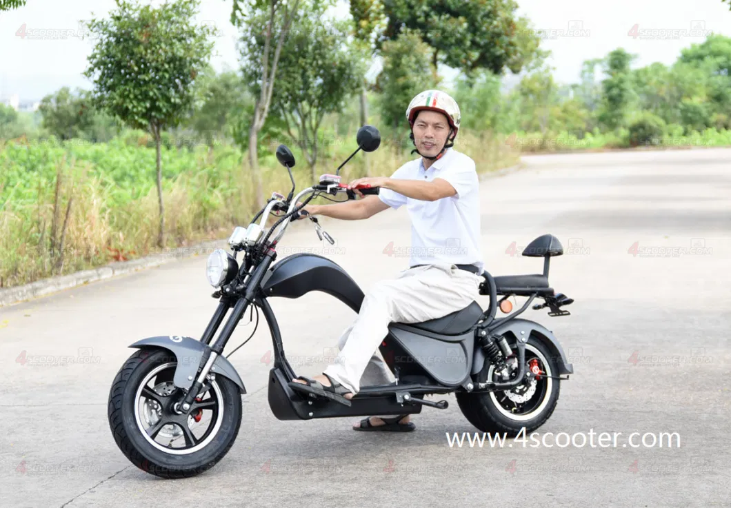 2023 New EEC Adult Electric Chopper Bike Scooter with Two Seater