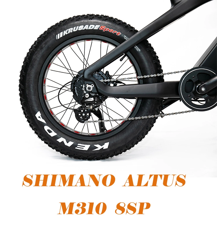 China Manufacturer Electronic Bikes 750W/1000W Carbon Fiber Fat Tire Electric Bike Mountain Electric Bicycle Cycle