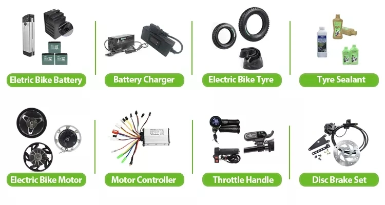 Electric Mobility Scoter Electric Scooter Moped for Adult Electric Motorcycle EEC Coc Elektrikli Scoter