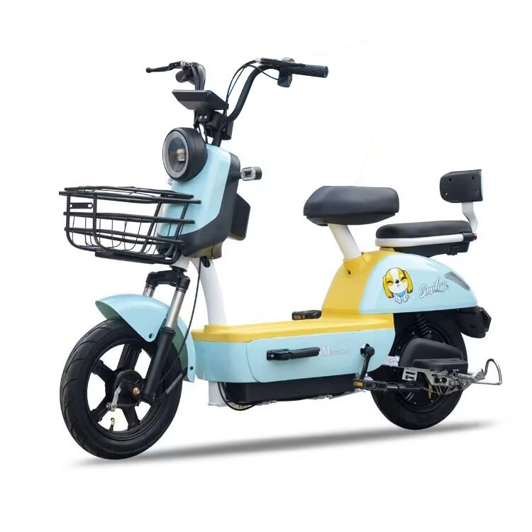 New National Standard Manatee Electric Bike Two-Wheeled Electric Bicycle Tianjin Skateboard Double Electric Battery Car Manufacturers Wholesale Adults