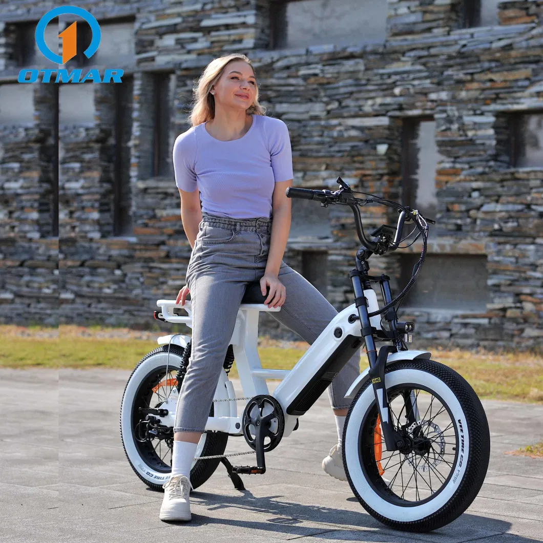 New Design 20 Inch Integrated Battery Retro Electric Bicycle