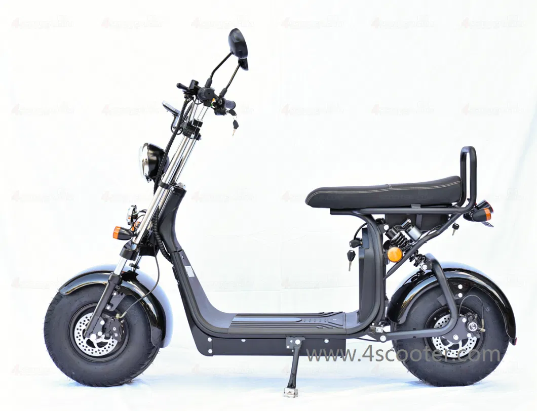 1000W 1500W 2000W Coc/EEC/CE Legal Electric Bike Motorcycle City Coco Scooter