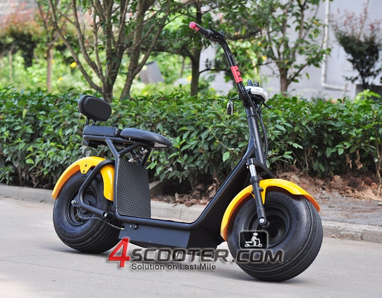 Newest Patented Electric Bicycle with 800W Power