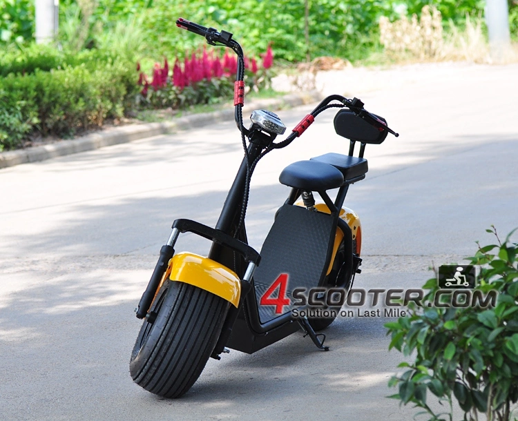 Newest Patented Electric Bicycle with 800W Power