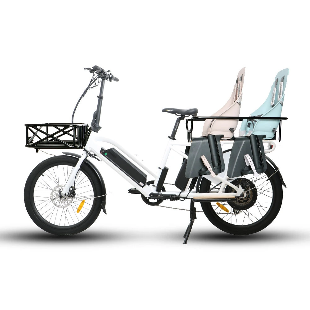 High Performance 2 Wheel Electric Cargo Bike with Pedal Assist