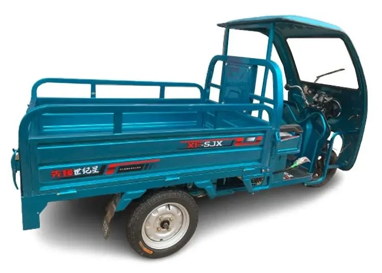 Factory Big Power Electric Tricycle Enclosed Body 3 Wheels Electric Motorized Tricycle Cargo