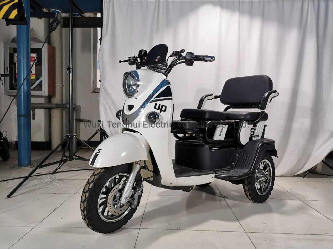 Engtine Chinese 3 Wheels Adults 1000W Electric Motorcycle Electric Tricycles CKD Mobility Scooters