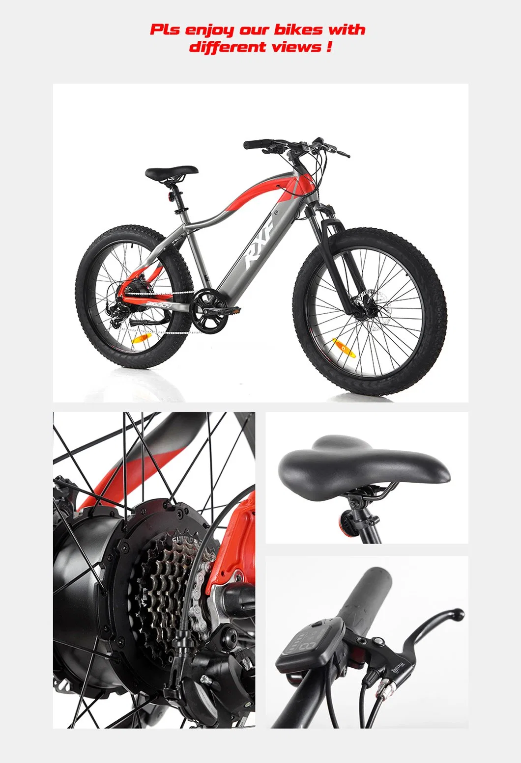 500W 48V10.4ah Electric Bike Bicycle Fat Bike Ebike Bigboy China Apollo