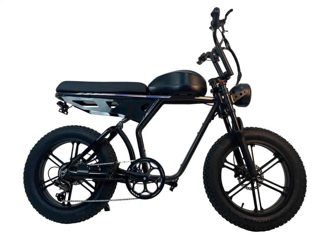 2023 New Model 48V 1000W 750W Electric Bicycle E Bike Fat Tire Chopper Electric Bike Motorcycles