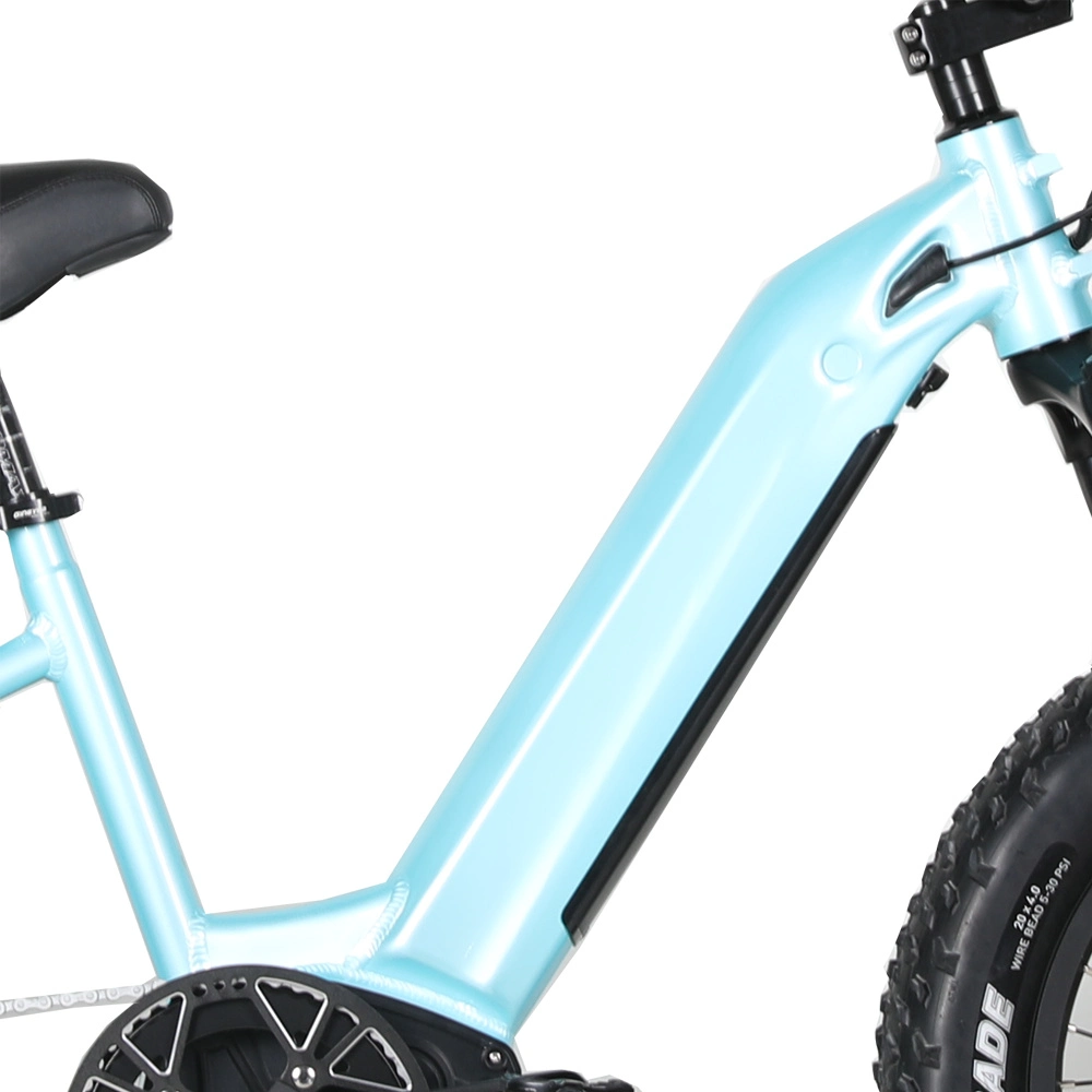 New Design 20 Inch 350W/500W/750W Step Through Mini Electric Bike with Single Speed