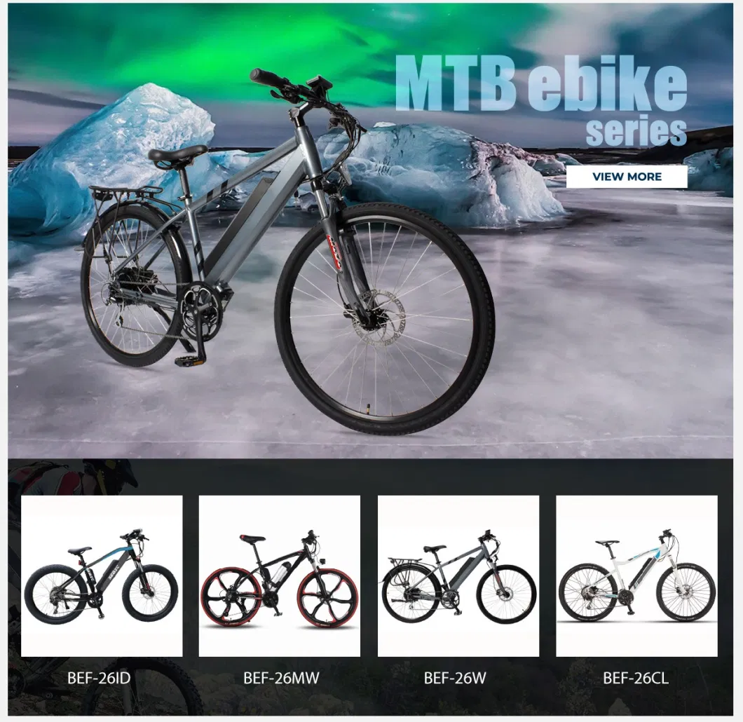 Aluminum Alloy Frame Double Disc Brake portable and Foldable Electric Bike