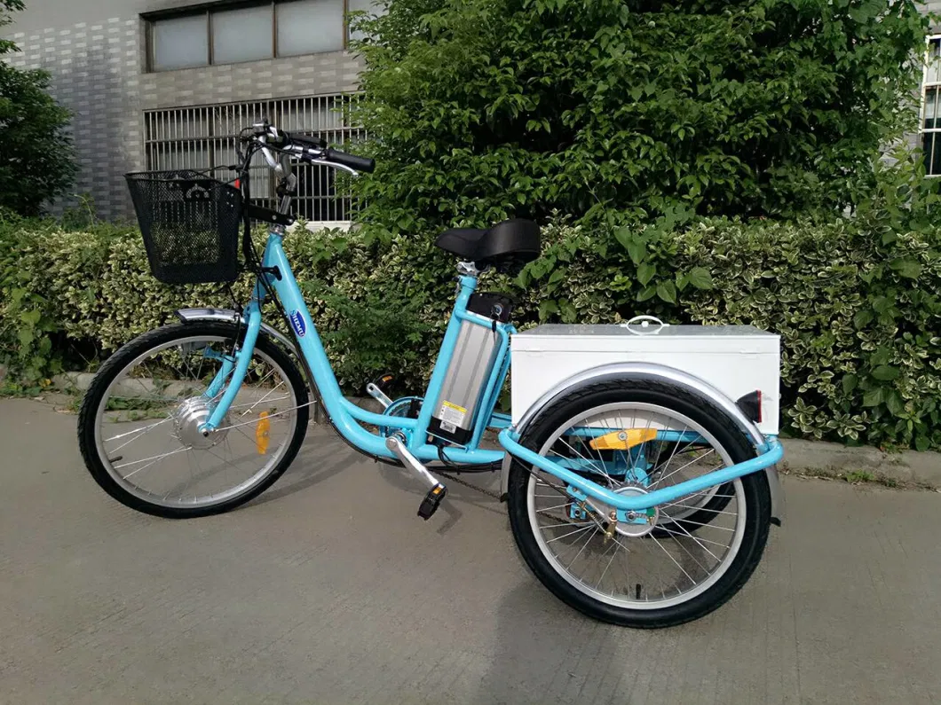 250W/350W/500W 3 Wheel Classic Adult Electric Tricycle with En 15194 Certification