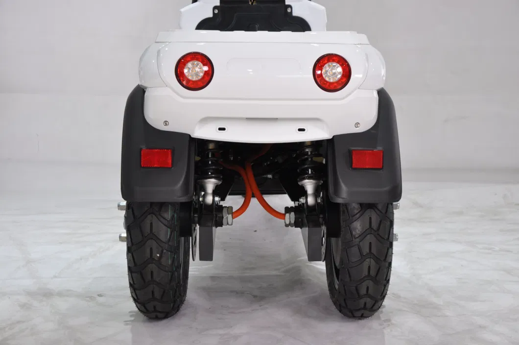 EEC Three Wheels Delivery/Cargo Electric Scooter with 70V50ah/100ah 45km/H Long Range