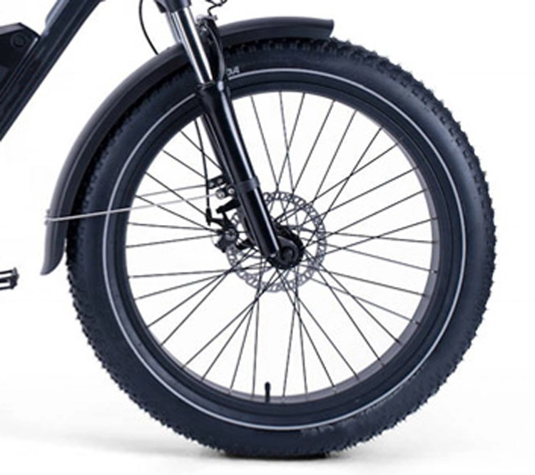 750V 48V Fat Tires Electric Ebike With14ah Lithium Battery Aluminum Alloy Frame