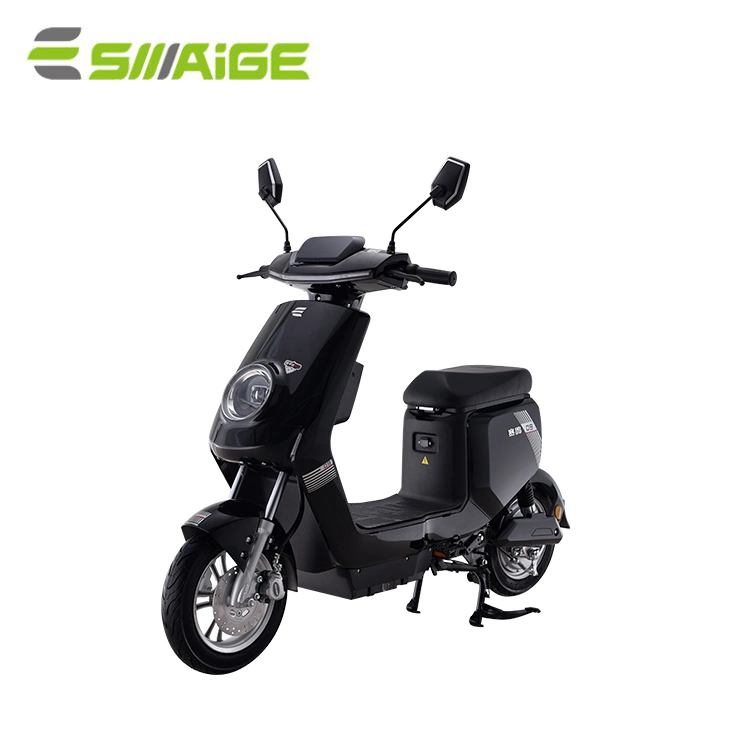 1000W Adult Mini Electric Moped Scooter/Motorcycles/Bicycle Battery Made in China