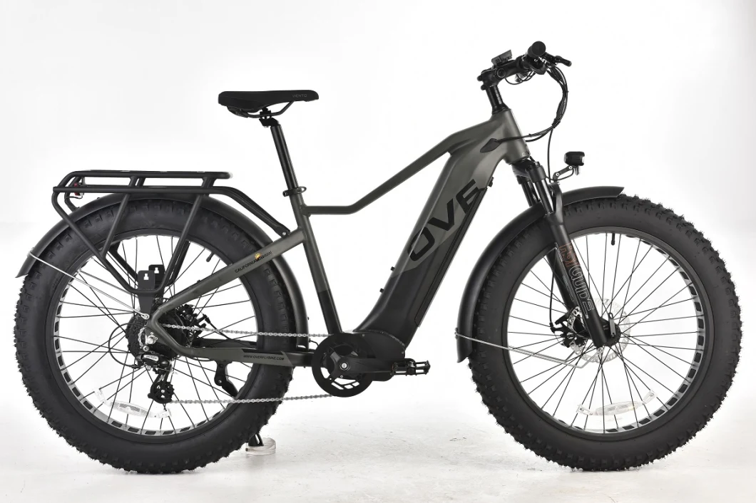 Men Aluminum Alloy Electric Fat Bike with Lithium Battery