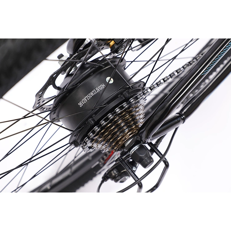 OEM Factory Wholesale Fat Tire Electric Bike with Disc Brake