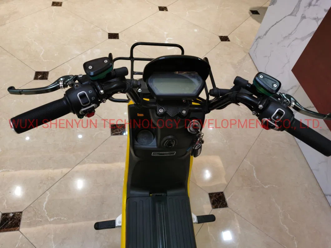 Delivery Pizza Scooter 2023 Loding King 45km/H 1200W Electric Bike with EEC